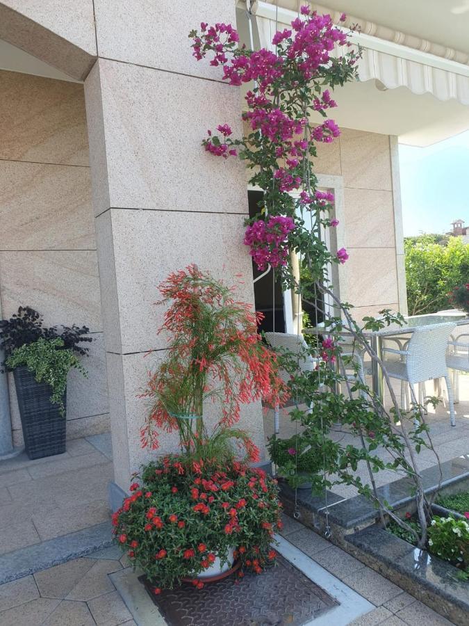 Villa Maric Baska Voda Ngoại thất bức ảnh