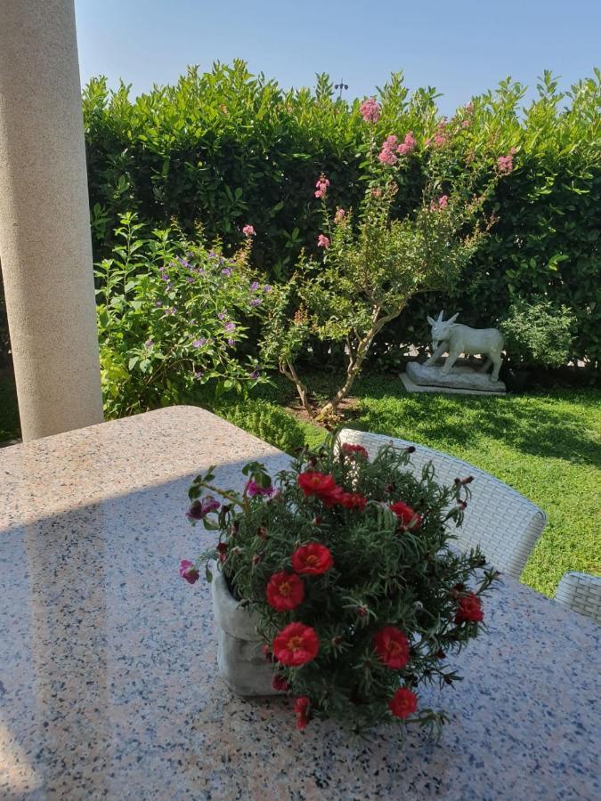 Villa Maric Baska Voda Ngoại thất bức ảnh